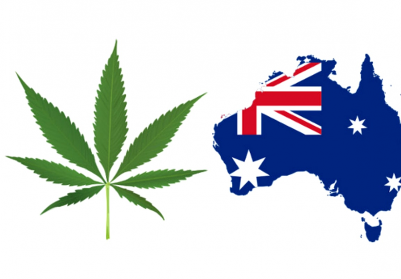 Австралийская Столичная Территория легализует выращивание и употребление каннабиса в рекреационных целях