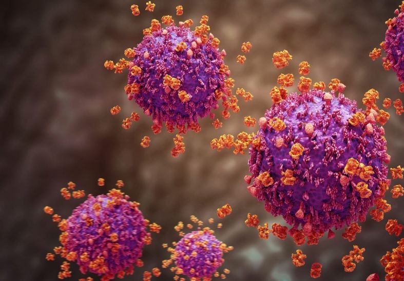 Oamenii de știință au găsit unde „se ascunde” HIV în timpul tratamentului antiretroviral