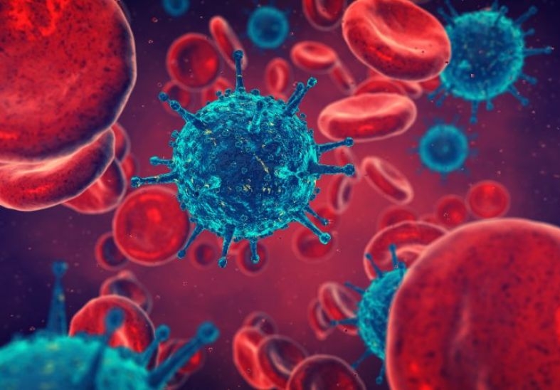 Научной группе удалось активировать латентные резервуары ВИЧ в организме