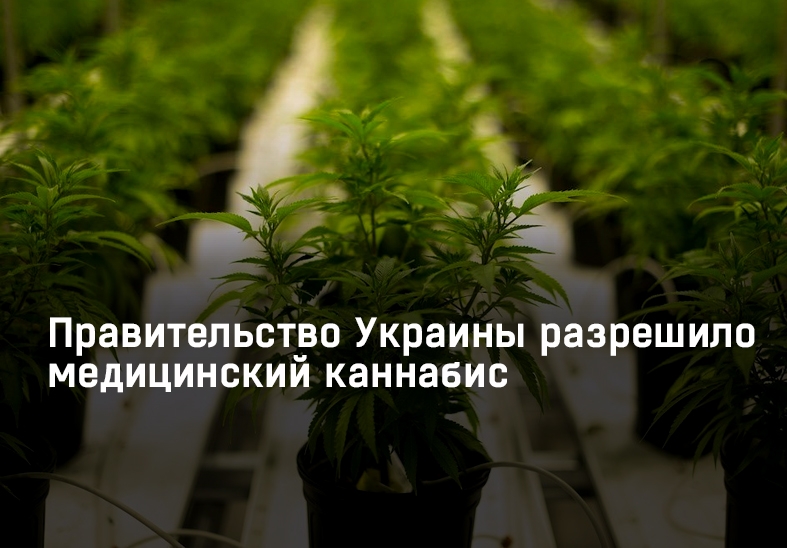 Guvernul din Ucraina susține legalizarea cannabisului