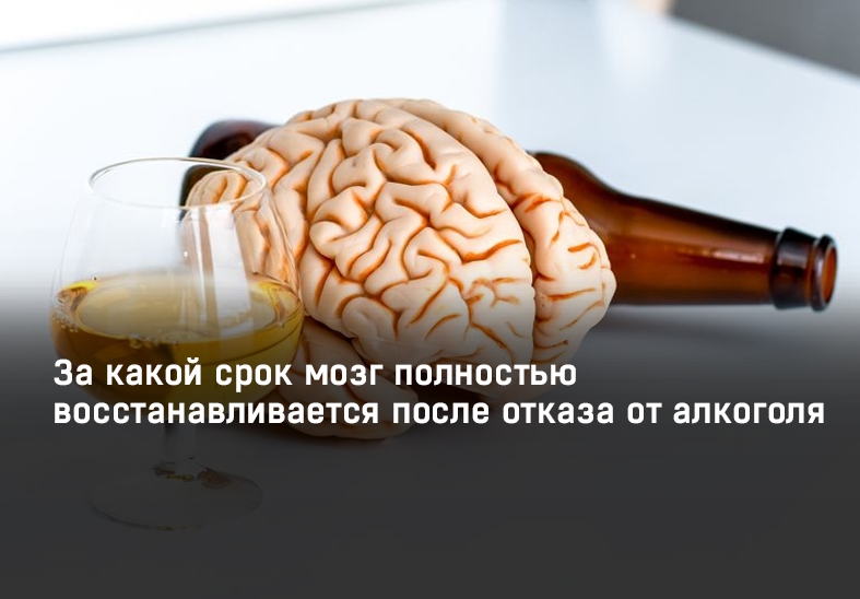 За какой срок мозг полностью восстанавливается после отказа от алкоголя