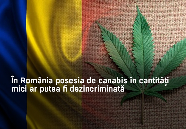 În România posesia de canabis în cantități mici ar putea fi dezincriminată